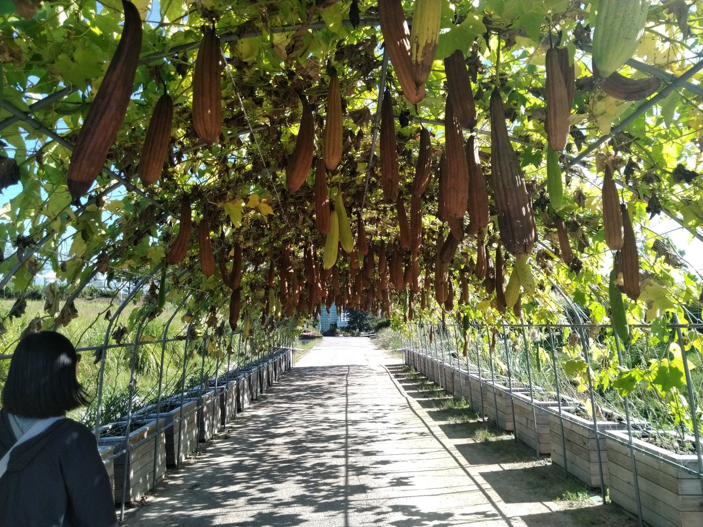 하늘공원